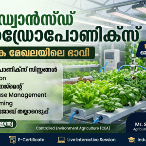 അഡ്വാൻസ്ഡ് ഹൈഡ്രോപോണിക്സ്: കാർഷിക മേഖലയിലെ ഭാവി