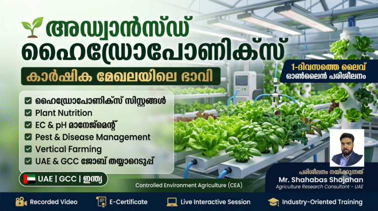 അഡ്വാൻസ്ഡ് ഹൈഡ്രോപോണിക്സ്: കാർഷിക മേഖലയിലെ ഭാവി